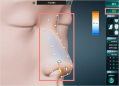 寻找取骨骼肌肉协调共处的奇特之美